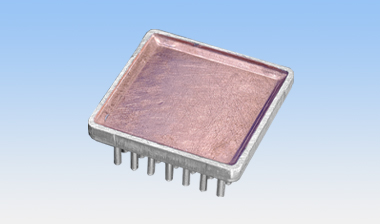Pinbloc lid